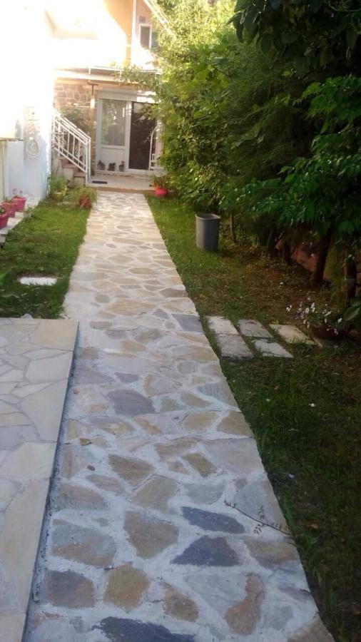 Villa Alekos タソス エクステリア 写真